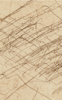 Tree Drawn Etchings