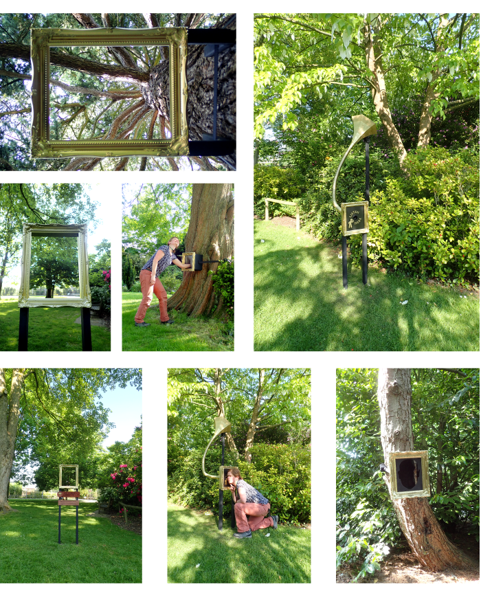 Celebritrees